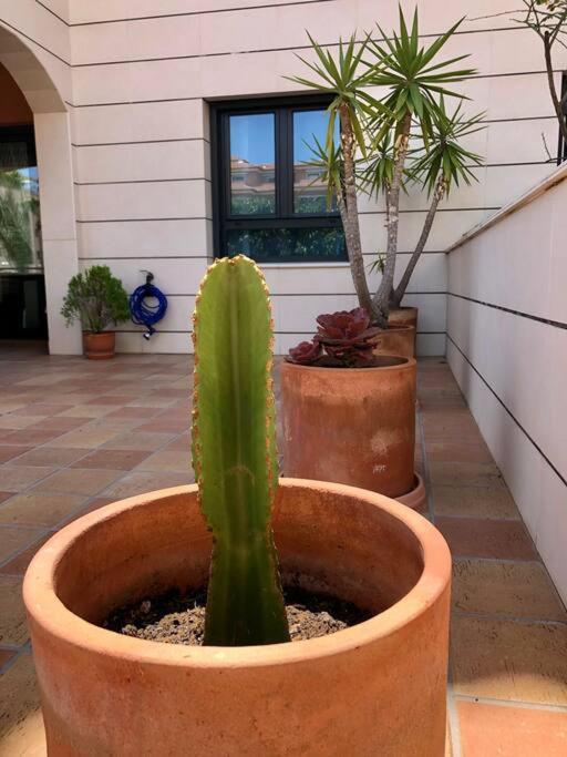 Appartement Hogar Brisa De Marinas Acogedor Con Amplia Terraza Y Acceso Directo A Piscinas-comfortable With Spacious Terrace And Direct Pool Access